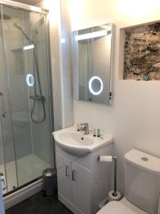 een badkamer met een wastafel, een douche en een toilet bij The North Cliff Hotel in Lynton