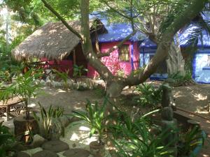 una casa con un árbol delante de ella en Hotel Amar Inn, en Puerto Morelos