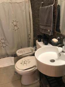 y baño con aseo, lavabo y ducha. en Cool Studio apartment Complete, bien ubicado, cercano a Bodegas, viñedos y zonas turísticas en Ciudad Lujan de Cuyo