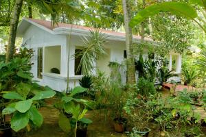 Um jardim em Jickys Nest