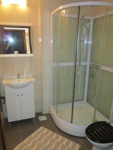 a bathroom with a shower and a toilet and a sink at Pensiunea Casa Maria in Buşteni