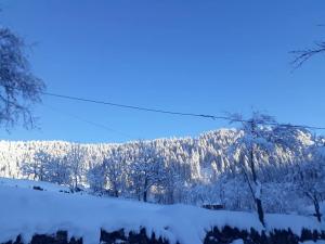 een besneeuwde heuvel met bomen op de achtergrond bij Guest House Karati in Khulo
