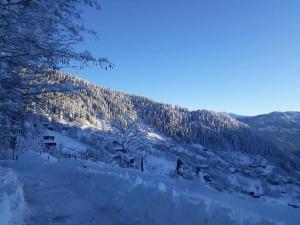 Paesaggio naturale nelle vicinanze dell'affittacamere