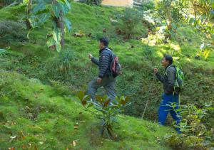 Fotografie z fotogalerie ubytování The Lapsi Tree v destinaci Nagarkot