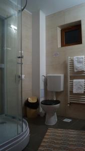 a bathroom with a toilet and a glass shower at Pensiunea Casa Maria in Buşteni