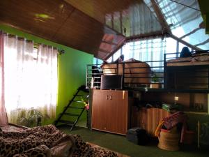 een kamer met een groene muur, een ladder en een bed bij Bethany Homestay in Kalimpong