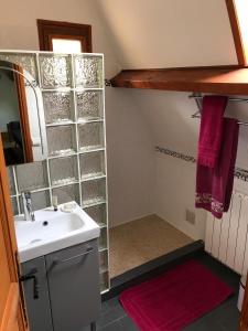 a small bathroom with a sink and a mirror at Chambres Les Plantous de Severo in Cénac-et-Saint-Julien