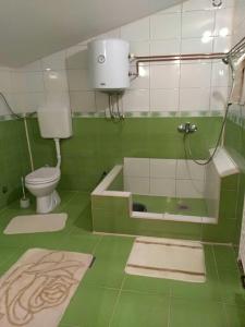 a green bathroom with a toilet and a shower at Goražde-Centar Apartment in Goražde