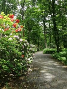 a path through a garden with flowers and trees at Fewo am Kurpark in Bad Sassendorf