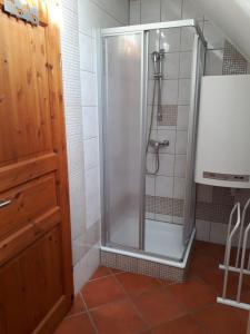 W łazience znajduje się prysznic ze szklanymi drzwiami. w obiekcie Dorfhof Bauer w mieście Riegersburg