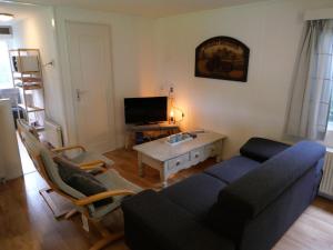 TV a/nebo společenská místnost v ubytování chalet lizzy