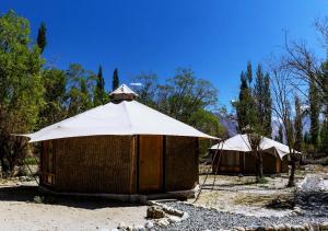 a couple of tents in a field with trees at Chalet Seabuckthorn - Hunder in Hundar