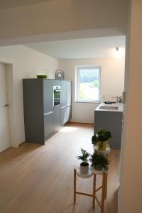 Kuchyňa alebo kuchynka v ubytovaní Panorama Appartement
