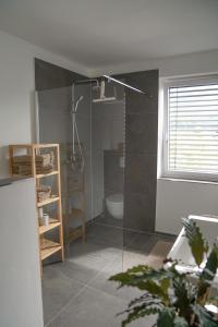 een badkamer met een douche, een toilet en een wastafel bij Panorama Appartement in Strobl
