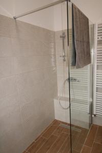 een douche met een glazen deur in de badkamer bij Apartman Barbara in Ližnjan
