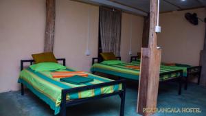 เตียงในห้องที่ Pidurangala Hostel