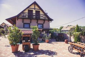 a house with potted plants in front of it at Barackos Wellness Villa Fót in Fót