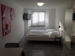 a small bedroom with a bed and a window at Stadtmitte Ferienwohnung Waldshut in Waldshut-Tiengen