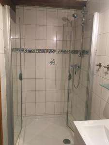 a bathroom with a shower and a sink at Ferienwohnung Kastanienblick oder Parkblick in Ziethen