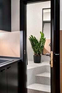 A kitchen or kitchenette at Luxury Trevi House