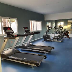 Fitness centrum a/nebo fitness zařízení v ubytování BLUESEA Costa Bastian