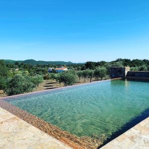 a large swimming pool with clear blue water at Casa do Sobreiro-Quinta do Briando in Portalegre