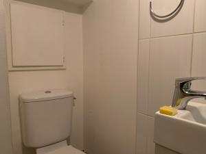 a white bathroom with a toilet and a sink at Studio Vieux Lyon in Lyon