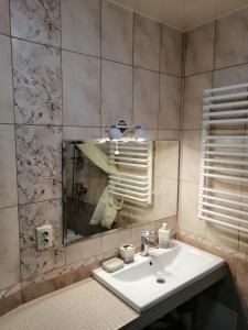 La salle de bains est pourvue d'un lavabo et d'un miroir. dans l'établissement У Ксені, à Morshin