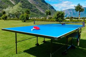 un tavolo da ping pong con un cappello rosso sopra di Ingrids Apartments a Eidfjord