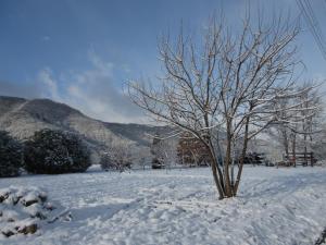 Shinshu Wakaho Gibier B&B v zimě