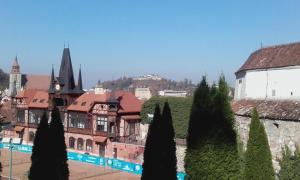 a group of trees in front of a building at Casa Scheiana in Braşov