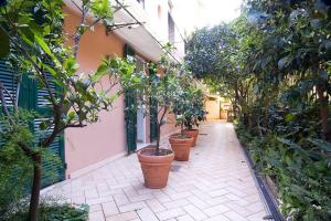 a courtyard with a row of potted trees in pots at Locanda Conchiglia D'Oro in Varigotti