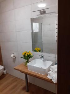 Kúpeľňa v ubytovaní Gucio - pokoje z restauracją Szczyrk