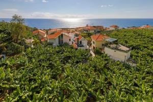 a group of houses on a hill next to the ocean at Oscar's House by An Island Apart in Ponta do Sol