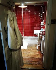ein Bad mit einer Dusche und einem Waschbecken in der Unterkunft The Firecat Country House Guesthouse in Mallwyd