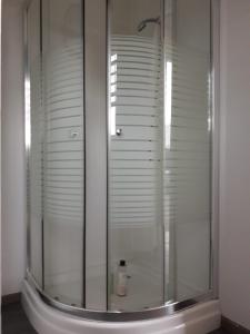 y baño con ducha y puerta de cristal. en Palm Trees Apartments, en Willemstad