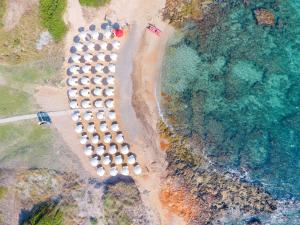卡洛维诺Torre Guaceto Greenblu Resort的海滩上建筑物的顶部景观
