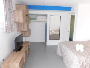 TV a/nebo společenská místnost v ubytování The Jolly Roger Motel