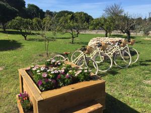Kebun di luar Quinta do Meco - Beach & Nature