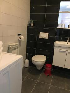 Kúpeľňa v ubytovaní Apartman Lara *** + 8 fotografií