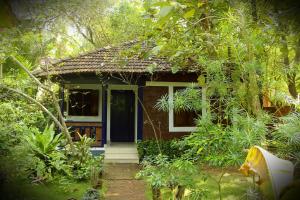 Um jardim em Jickys Nest