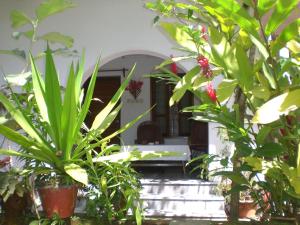 Um jardim em Jickys Nest