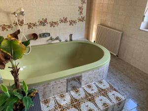 Kúpeľňa v ubytovaní Ferienwohnung Urisee