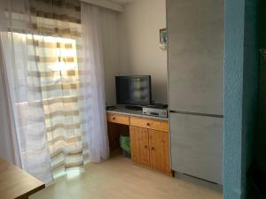 Televízia a/alebo spoločenská miestnosť v ubytovaní Ferienwohnung Urisee