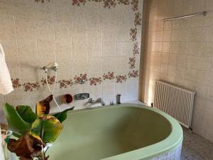 Kúpeľňa v ubytovaní Ferienwohnung Urisee