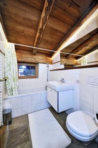 a bathroom with a toilet and a sink at Ferienhäuser Reither Almen in Reith im Alpbachtal +69 photos