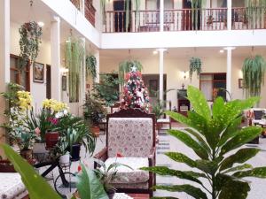 Zahrada ubytování Hotel Casa Montero