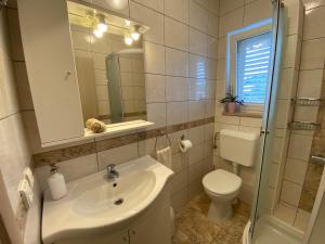 a bathroom with a sink and a toilet and a mirror at Villa Laguna in Lumbarda