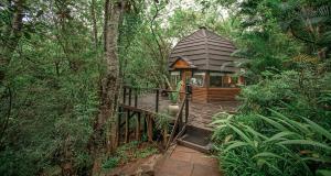 a small cabin in the middle of a forest at Serenity Mountain and Forest Lodge in Malelane
