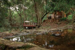 un ponte su un fiume in una foresta di Serenity Mountain and Forest Lodge a Malelane